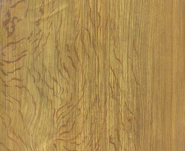 Ch&ecirc;ne (maille)